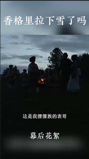 视频预览