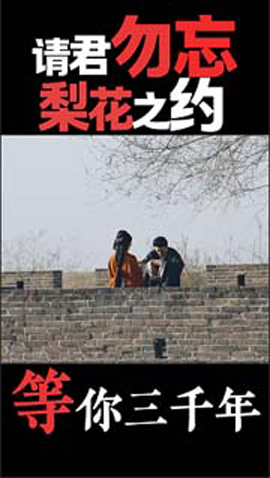 视频预览