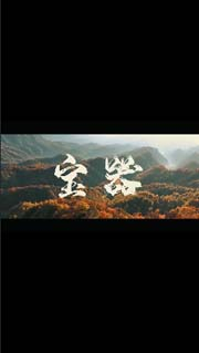 视频预览
