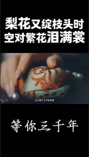 视频预览