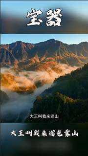 视频预览