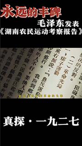视频预览
