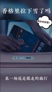 视频预览