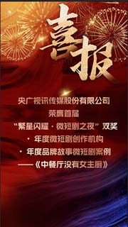 视频预览