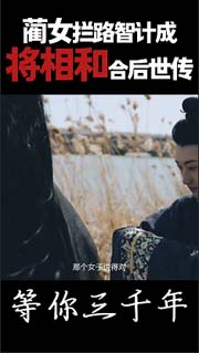 视频预览